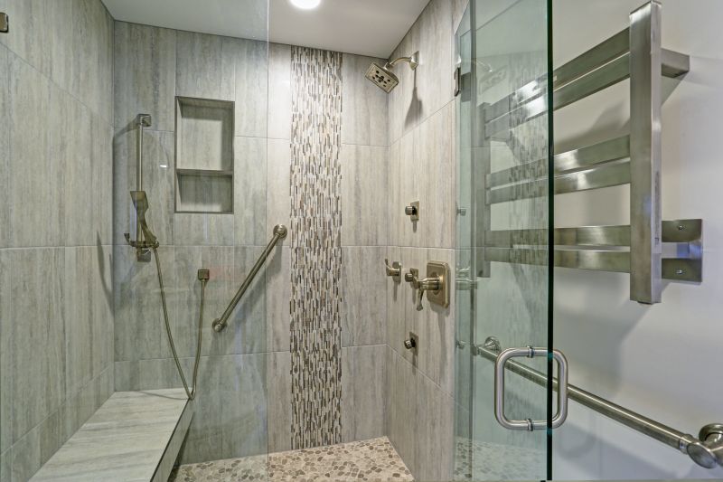 Modern Walk-in Shower with Frameless Glass